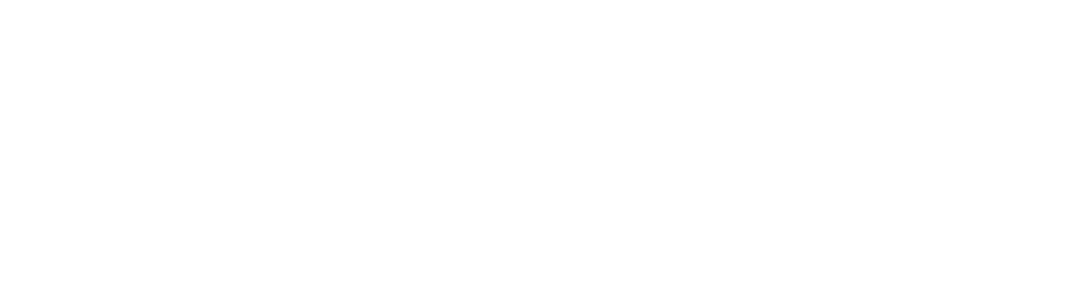 Logox2